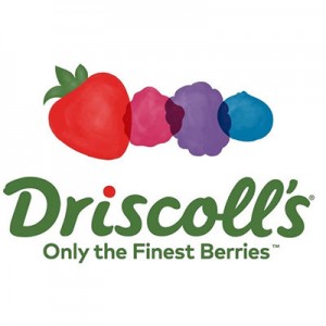 driscolls-client
